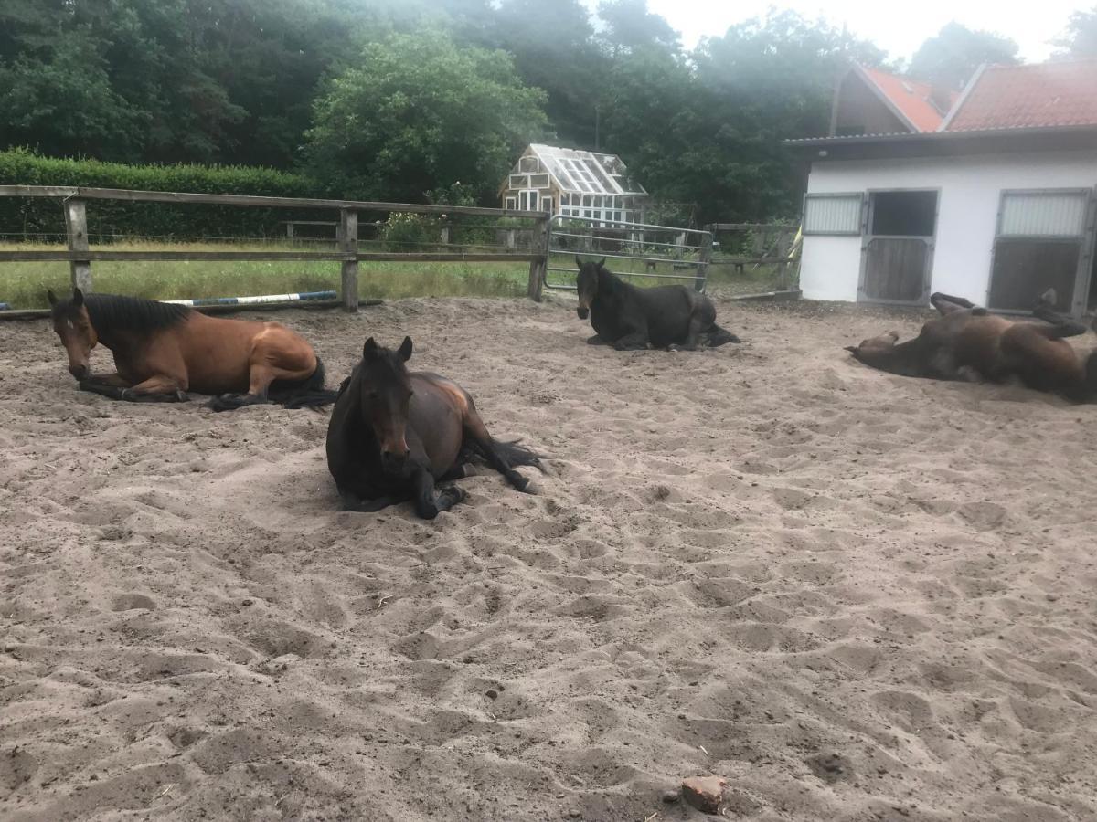 Apartamento Alter Bahnhof Otersen Kirchlinteln Exterior foto